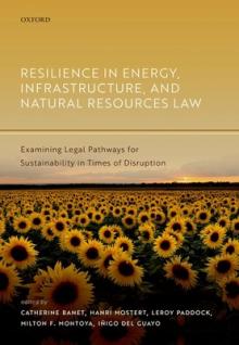 Resilience in Energy, Infrastructure, and Natural Resources Law: Examining Legal Pathways for Sustainability in Times of Disruption