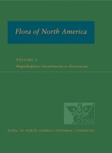 Fna: Volume 6: Magnoliophyta: Cucurbitaceae to Droseraceae
