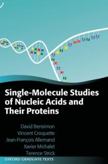 Single-Molecule Studies of Nucleic Acids and Their Proteins