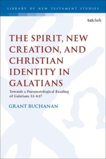 The Spirit, New Creation, and Christian Identity: Towards a Pneumatological Reading of Galatians 3:1-6:17