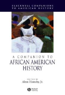 Companion to African American