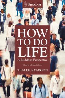 How to Do Life: A Buddhist Perspective