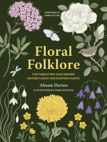 Floral Folklore: The Forgotten Tales Behind Nature's Most Enchanting Plants