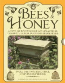 Bees & Honey: A Hive of Knowledge and Practical Inspiration for Budding Beekeepers