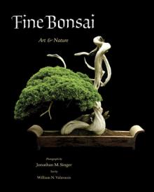 Fine Bonsai: Art & Nature