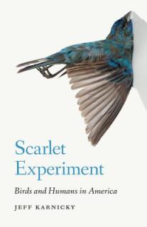 Scarlet Experiment: Birds and Humans in America