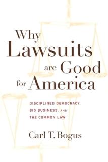 Why Lawsuits Are Good for America: Disciplined Democracy, Big Business, and the Common Law