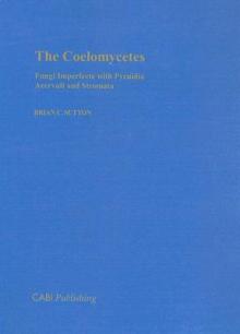 Coelomycetes