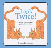 Look Twice: Use the Mirror to Find Pairs of Opposites