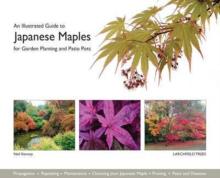 Illustrated Guide to Japanese Maples for Garden Planting and Patio Pots
