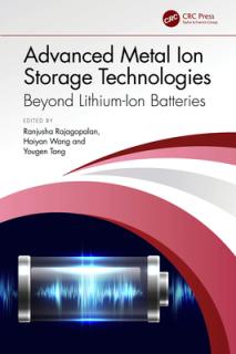 Advanced Metal Ion Storage Technologies: Beyond Lithium-Ion Batteries