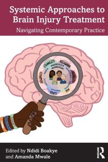 Systemic Approaches to Brain Injury Treatment: Navigating Contemporary Practice