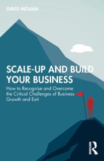 Scale-up and Build Your Business: How to Recognise and Overcome the Critical Challenges of Business Growth and Exit