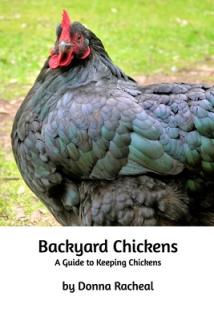 Backyard Chickens: A guide to keeping chickens