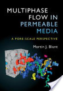 Multiphase Flow in Permeable Media: A Pore-Scale Perspective