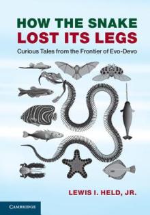 How the Snake Lost Its Legs: Curious Tales from the Frontier of Evo-Devo