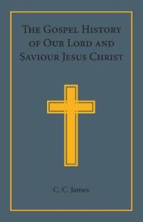 The Gospel History of Our Lord and Saviour Jesus Christ: In a Connected Narrative in the Words of the Revised Version