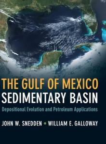 The Gulf of Mexico Sedimentary Basin: Depositional Evolution and Petroleum Applications