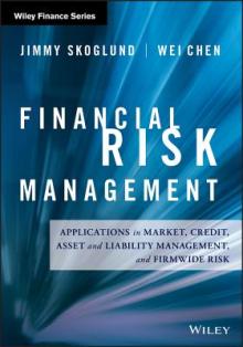 Financial Risk Management: Applications in Market, Credit, Asset and Liability Management and Firmwide Risk