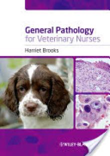 General Pathology Veterinary N