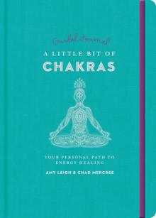 A Little Bit of Chakras Guided Journal: Your Personal Path to Energy Healing Volume 24