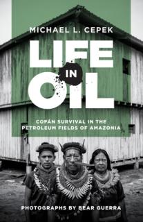 Life in Oil: Cofn Survival in the Petroleum Fields of Amazonia