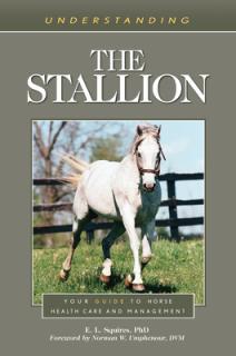 Understanding the Stallion: Your Guide to Horse Health Care and Management