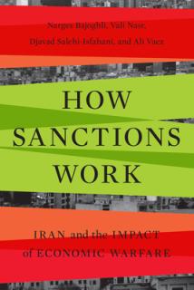 How Sanctions Work: Iran and the Impact of Economic Warfare