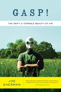 Gasp!: The Swift & Terrible Beauty of Air