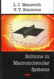 Solitons in Macromolecular Systems