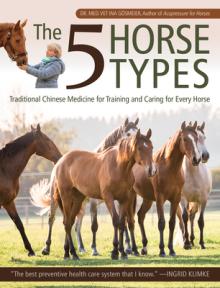 The 5 Horse Types: Traditional Chinese Medicine for Training and Caring for Every Horse