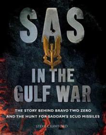 SAS in the Gulf War: The Story Behind Bravo Two Zero and the Hunt for Saddam's Scud Missiles