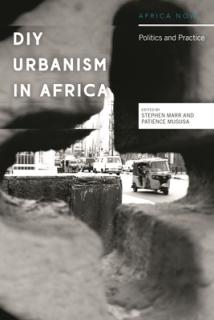 DIY Urbanism in Africa: Politics and Practice