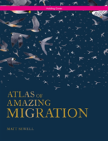 Atlas of Amazing Migration