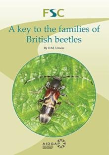 Key to the Families of British Coleoptera (and Strepsitera)