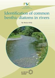 Identification of Common Benthic Diatoms in Rivers
