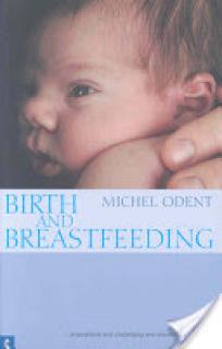 Birth and Breastfeeding: Rediscovering the Needs of Women During Pregnancy and Childbirth