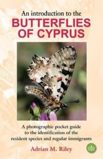 Introduction to the Butterflies of Cyprus