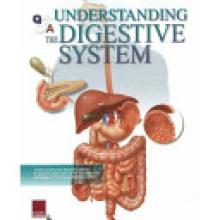 Understanding the Digestive System Flip Chart