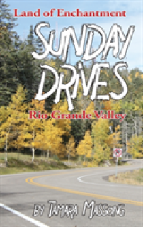 Sunday Drives: Rio Grande Valley