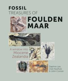 Fossil Treasures of Foulden Maar: A Window Into Miocene Zealandia