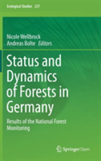 Status and Dynamics of Forests in Germany: Results of the National Forest Monitoring