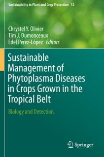 Sustainable Management of Phytoplasma Diseases in Crops Grown in the Tropical Belt: Biology and Detection
