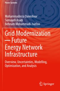 Grid Modernization ─ Future Energy Network Infrastructure: Overview, Uncertainties, Modelling, Optimization, and Analysis
