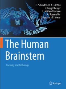 The Human Brainstem: Anatomy and Pathology
