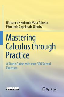 Mastering Calculus Through Practice: A Study Guide with Over 300 Solved Exercises