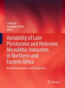 Variability of Late Pleistocene and Holocene Microlithic Industries in Northern and Eastern Africa: Recent Interpretations and Perspectives