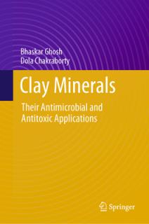 Clay Minerals: Their Antimicrobial and Antitoxic Applications