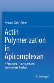 Actin Polymerization in Apicomplexan: A Structural, Functional and Evolutionary Analysis
